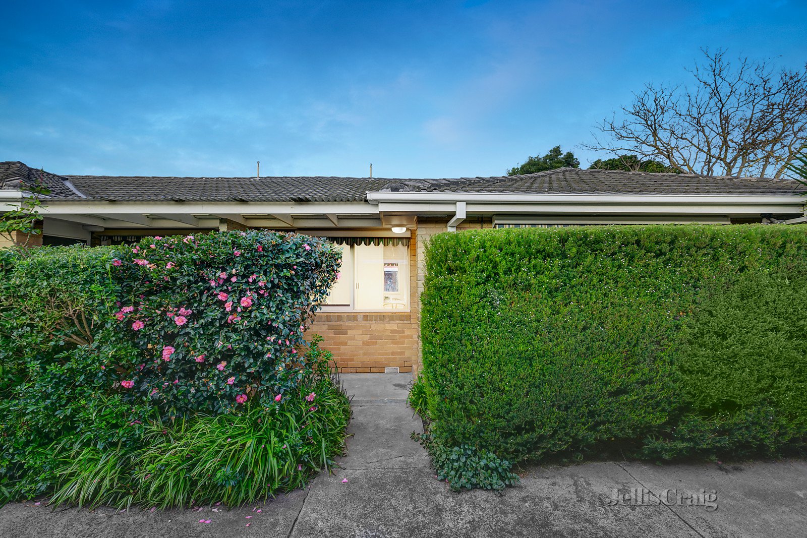 5/71 Leila Road, Ormond image 10