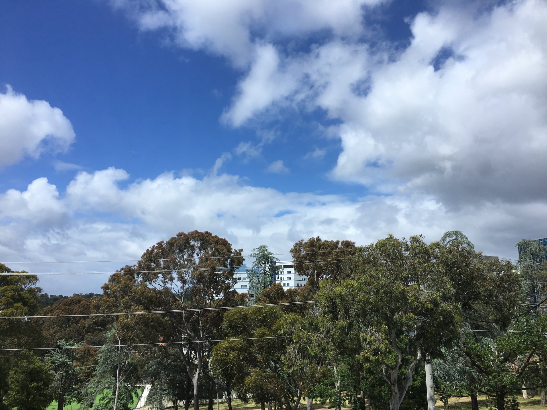 5/74 Darebin Street, Heidelberg image 12