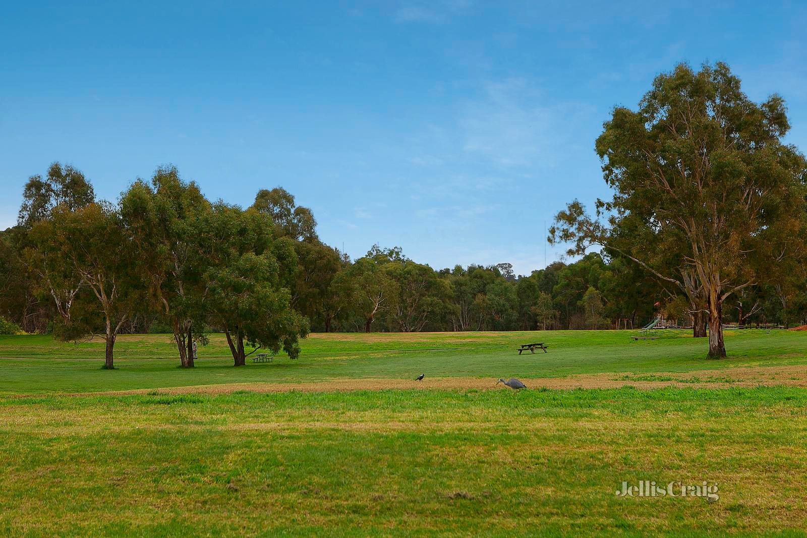 58 Atkinson Street, Templestowe image 15