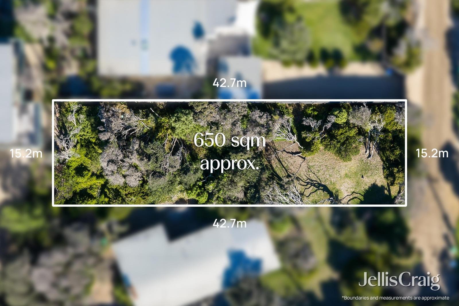 58 Dana Avenue, Blairgowrie image 5