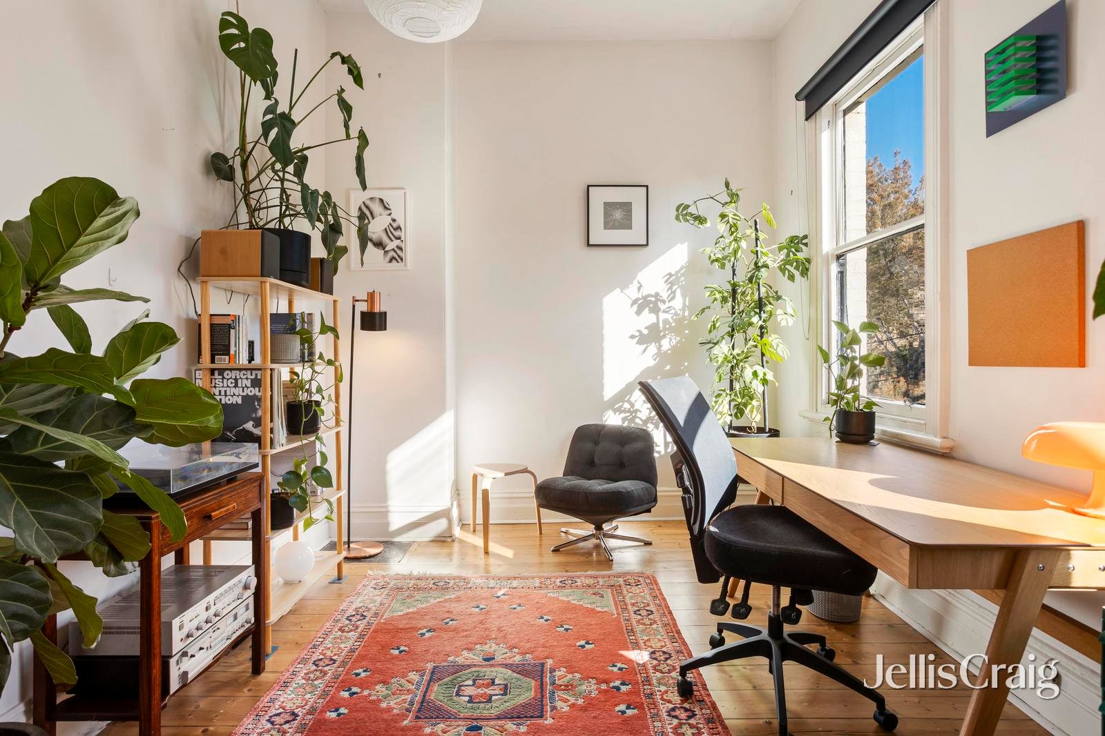 58 Dorrit Street, Carlton image 3