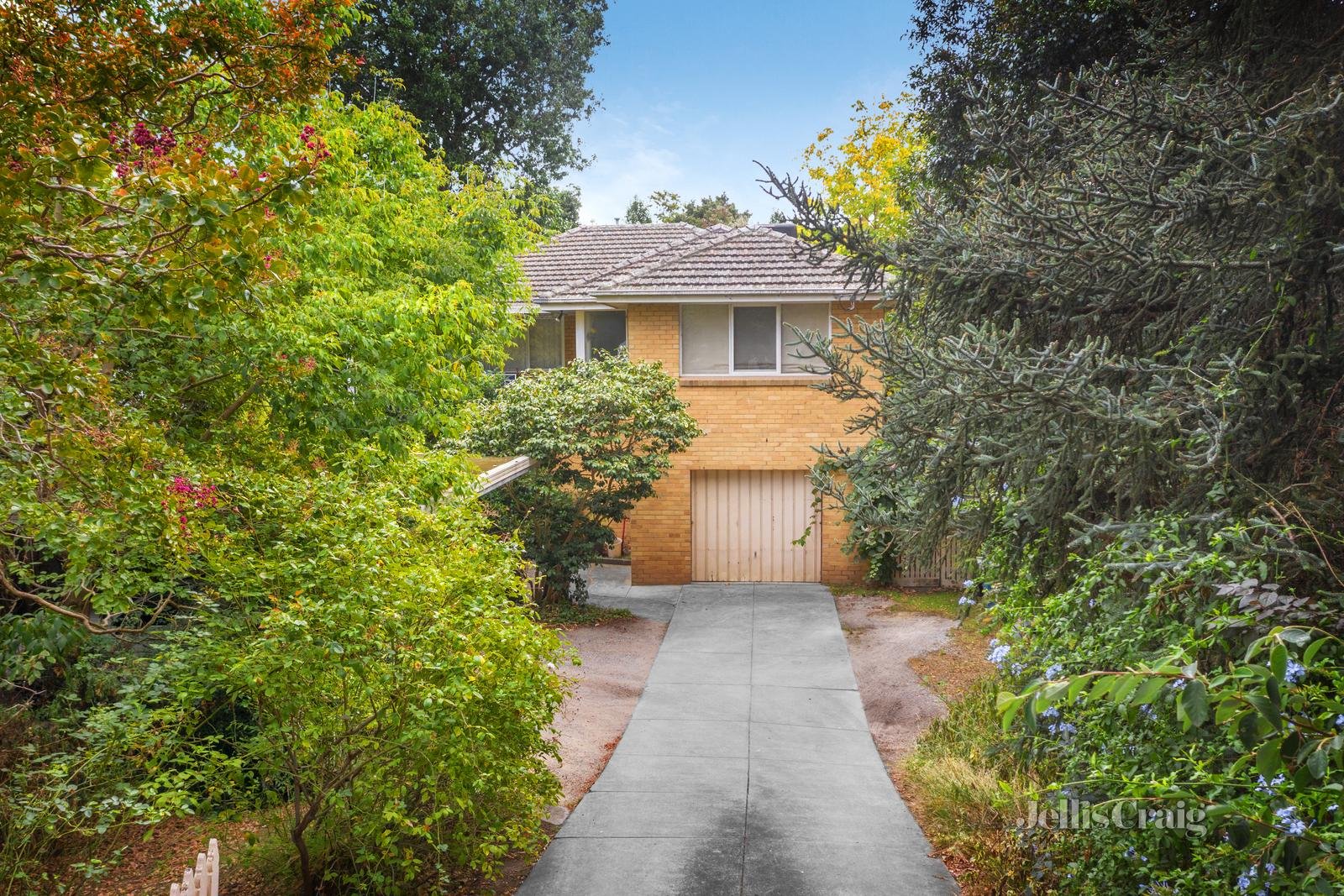 58 Essex Road, Surrey Hills image 2