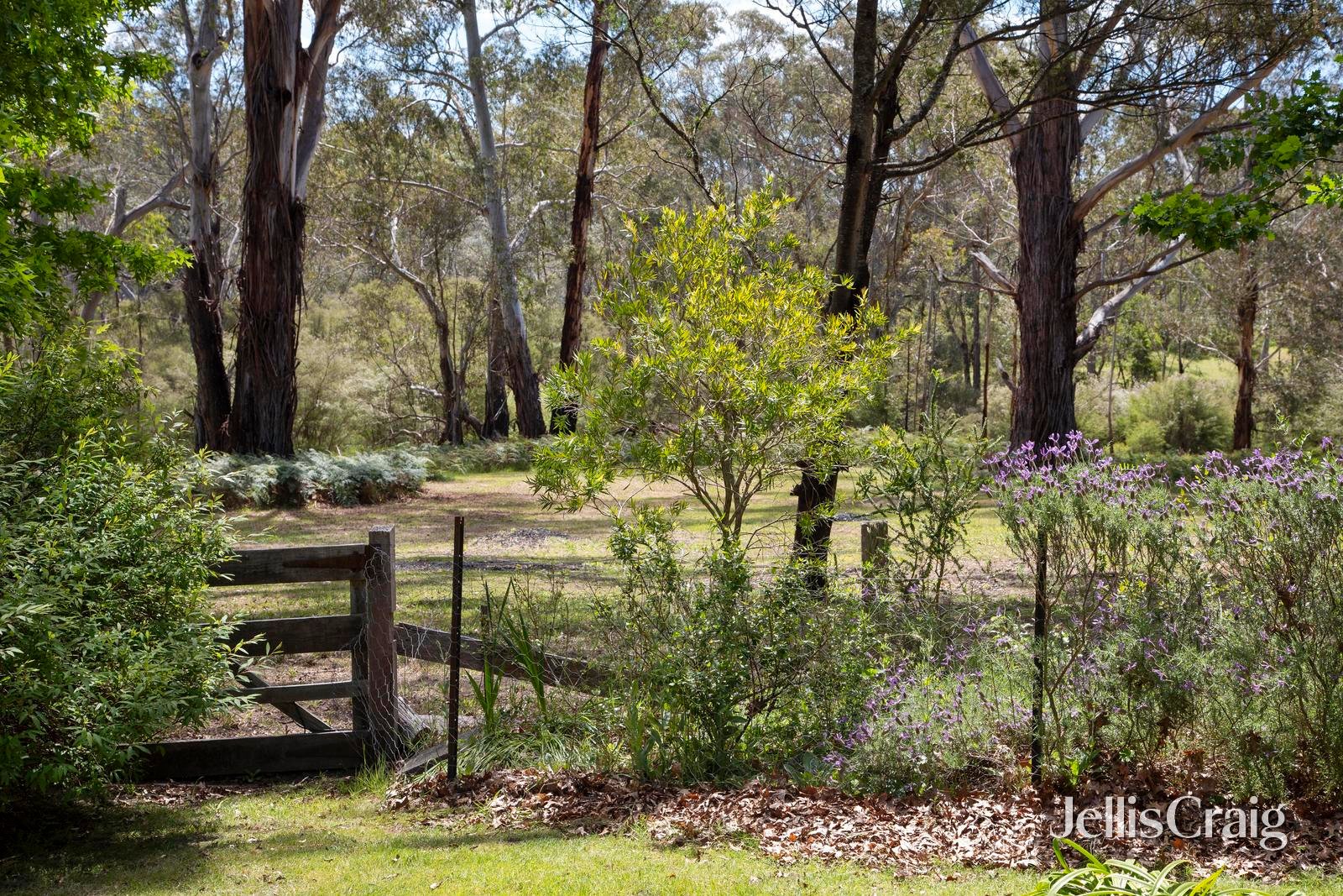58 Oxley Road, Kangaroo&nbsp;Ground image 3