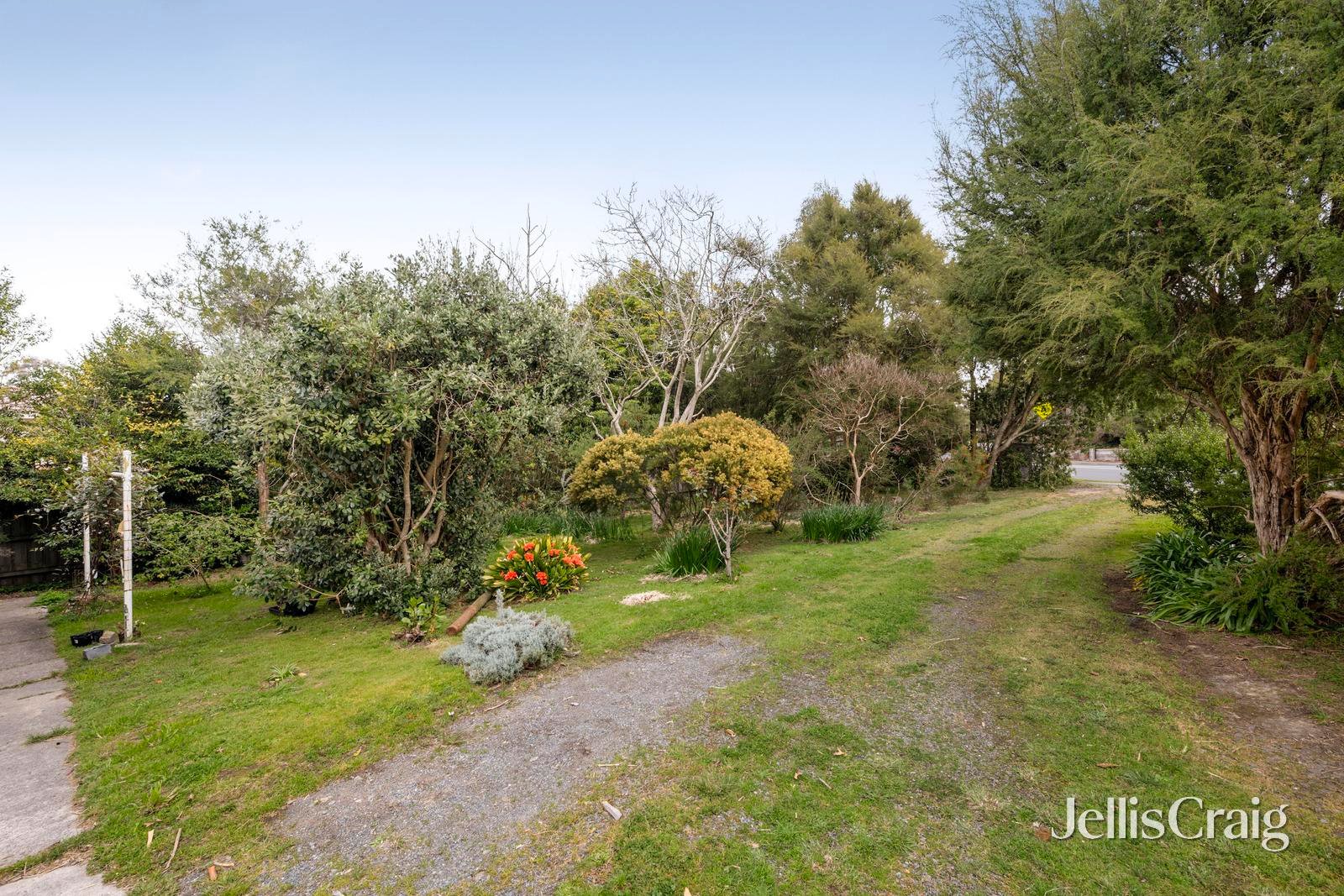 58 Wonga Road, Ringwood image 11