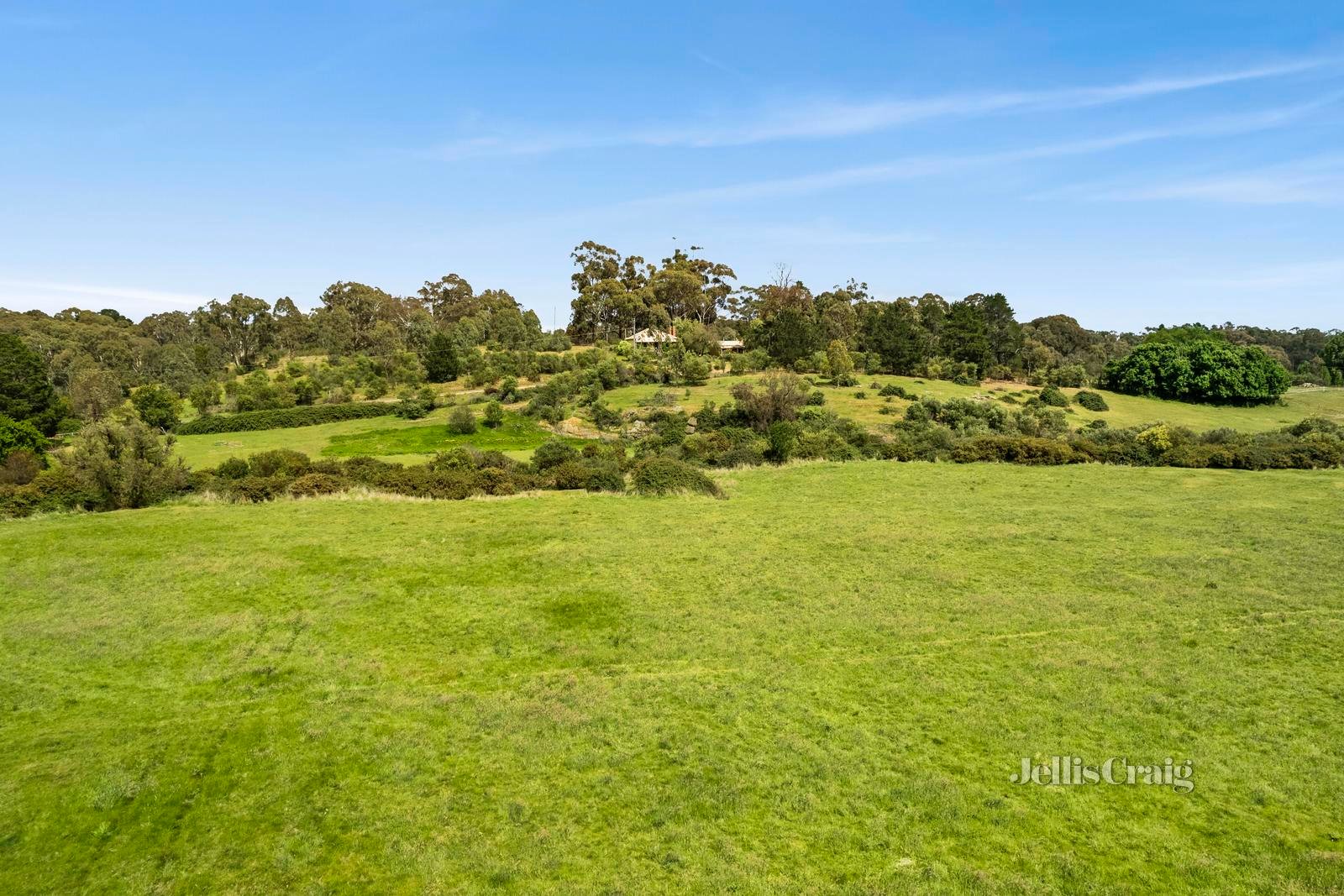 584 Campbells Creek-Fryers Road, Irishtown image 8