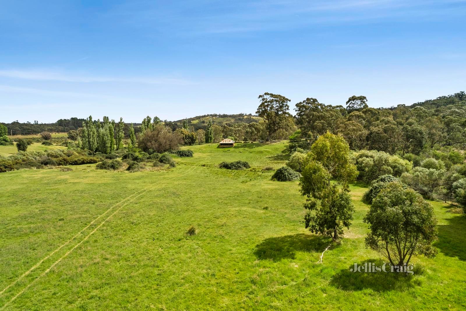 584 Campbells Creek-Fryers Road, Irishtown image 9