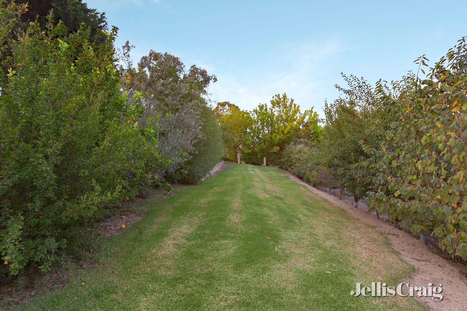 586 Hull Road, Lilydale image 13