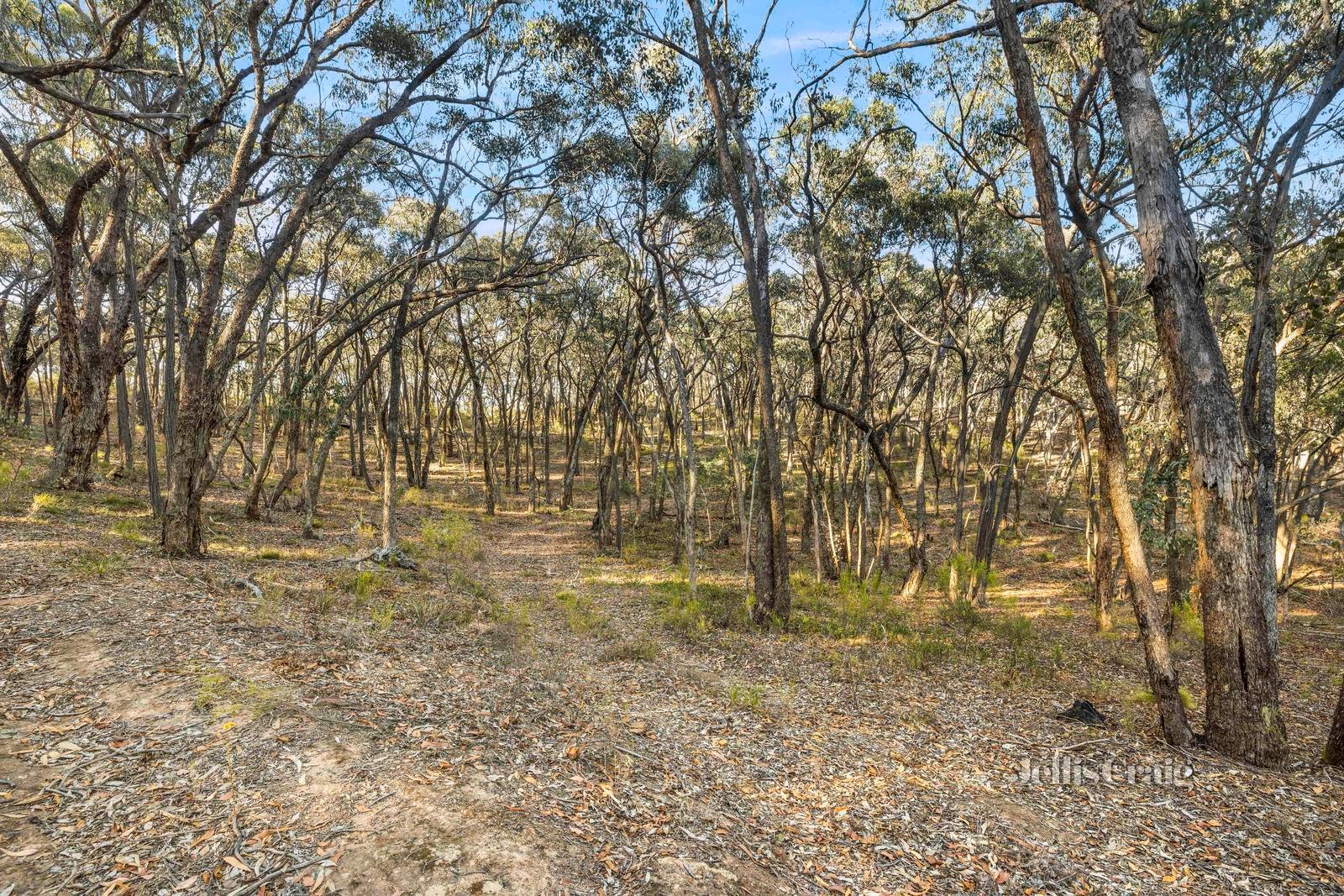 589 Vaughan Springs Road, Drummond North image 6