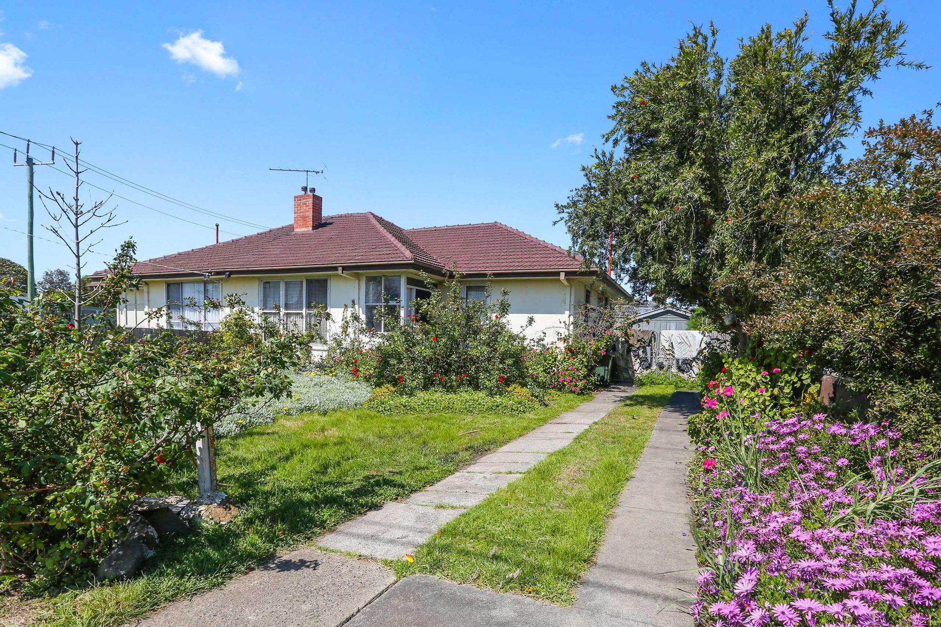 59 - 61 Cox Road, Norlane image 2