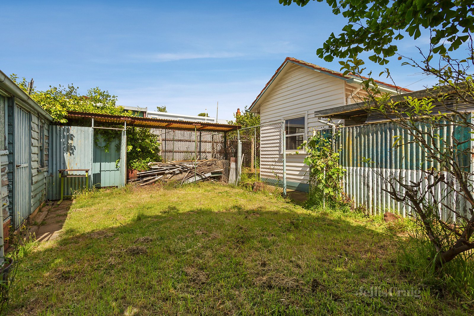 59 Charles Street, Ascot Vale image 6