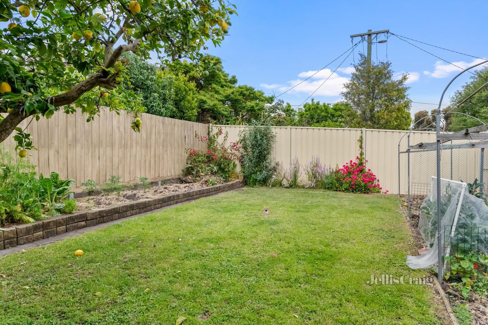 59 Marks Street, Coburg image 8