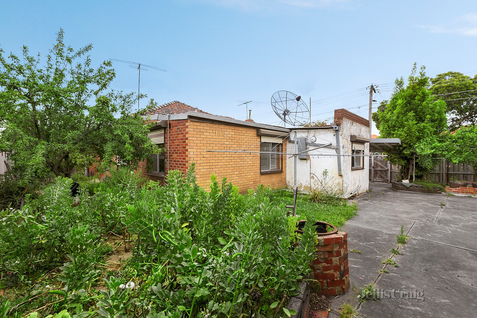 59 Nicholson Street, Coburg image 4