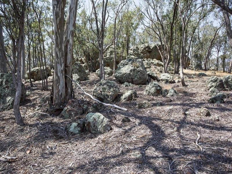 592 Muckleford-Yapeen Road, Yapeen image 4