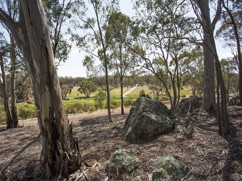 592 Muckleford-Yapeen Road, Yapeen image 5