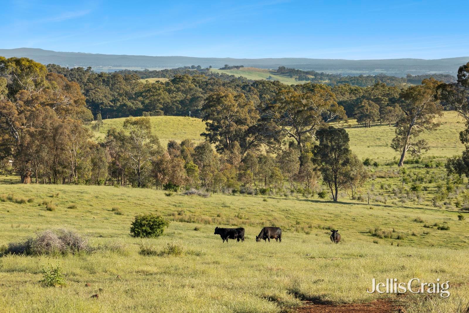 5930 Midland Highway, Mount Franklin image 7