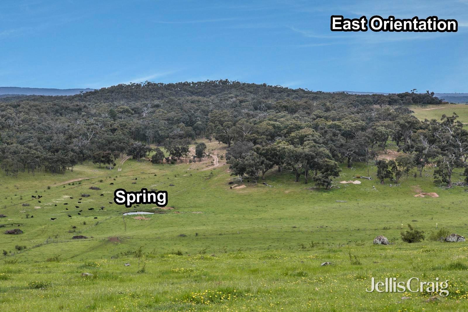 5930 Midland Highway, Mount Franklin image 12