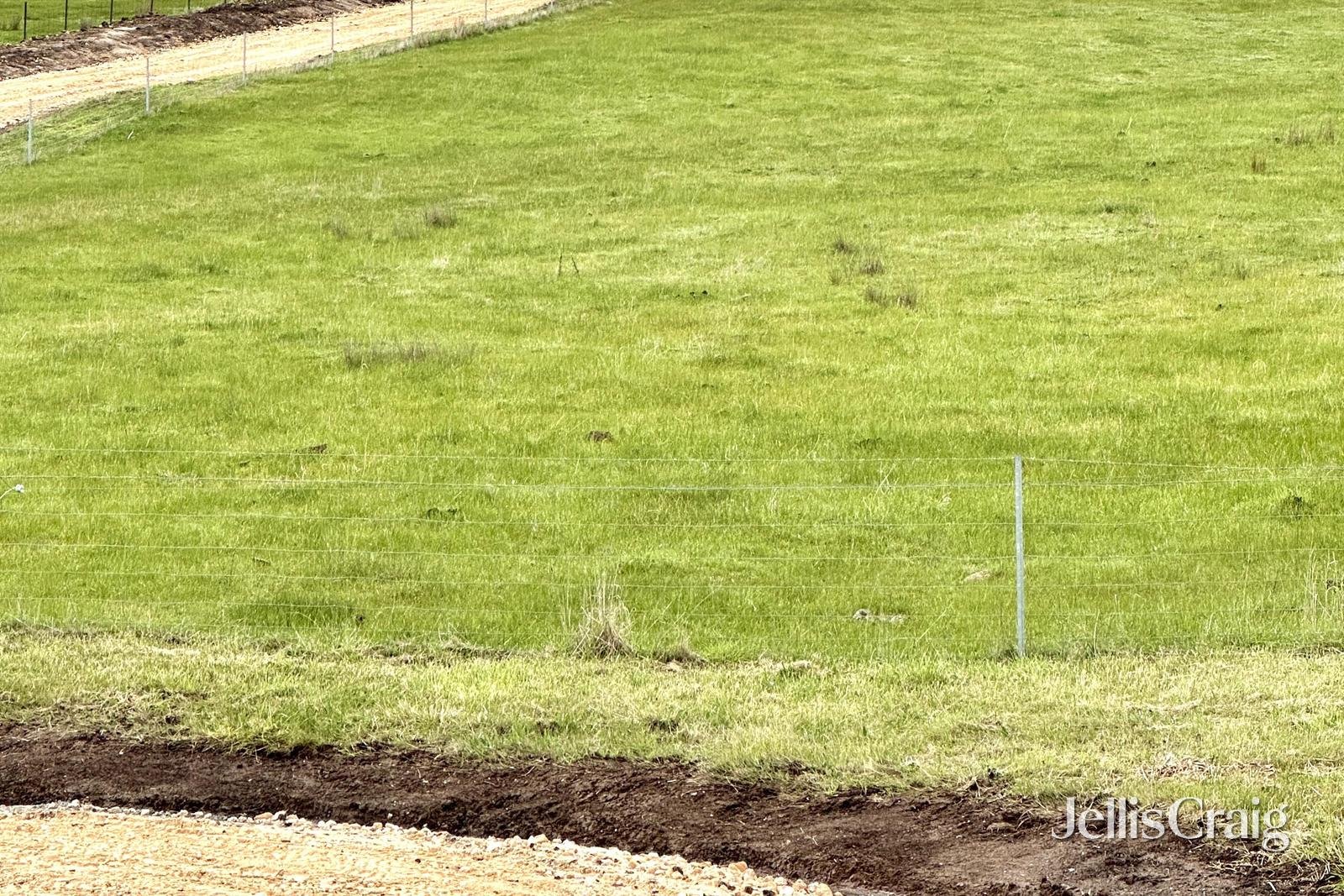 5930 Midland Highway, Mount Franklin image 24