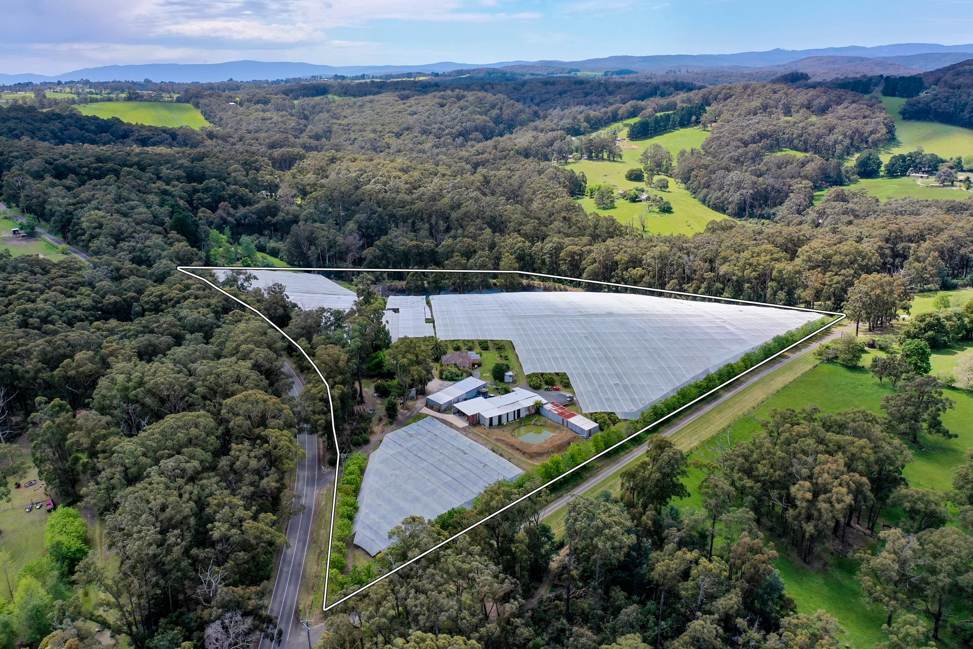 Show Property Gerard Collins Real Estate