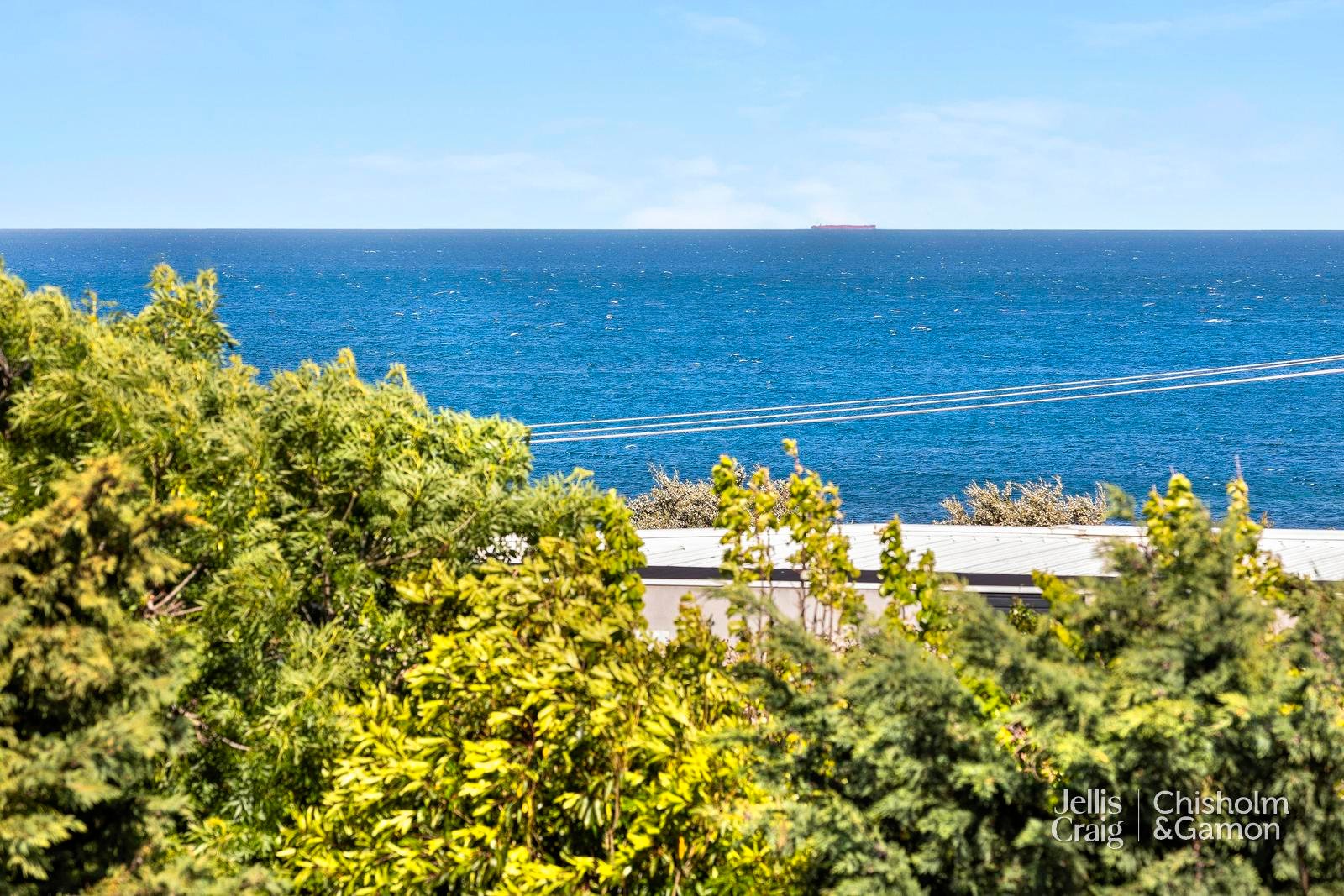 5A Haydens Road, Beaumaris image 11