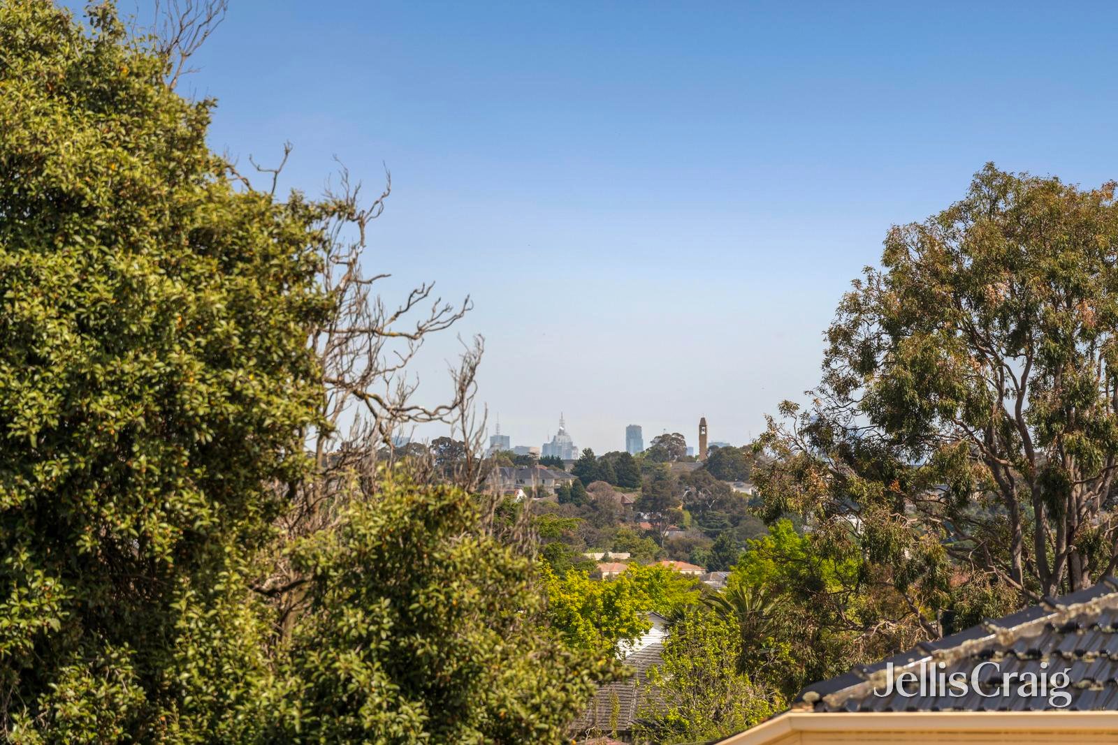 5A Mervyn Street, Doncaster image 9