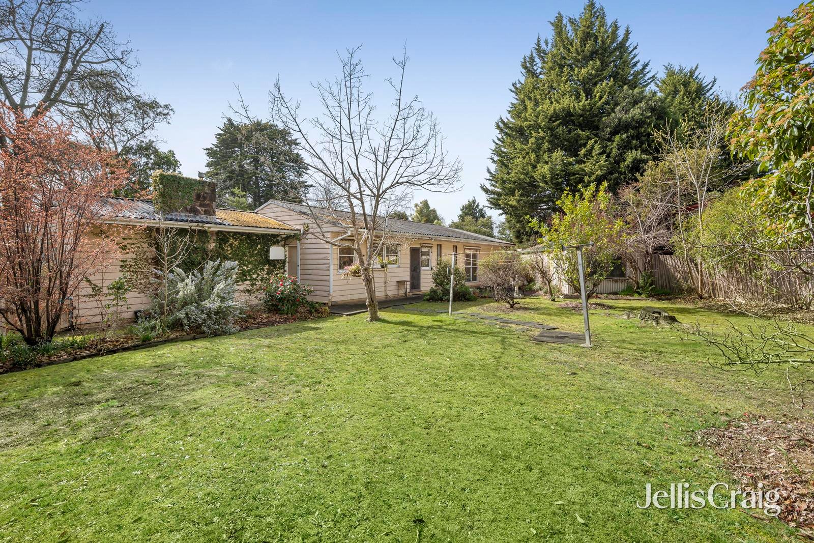 6-8 Kurrajong Avenue, Croydon image 4