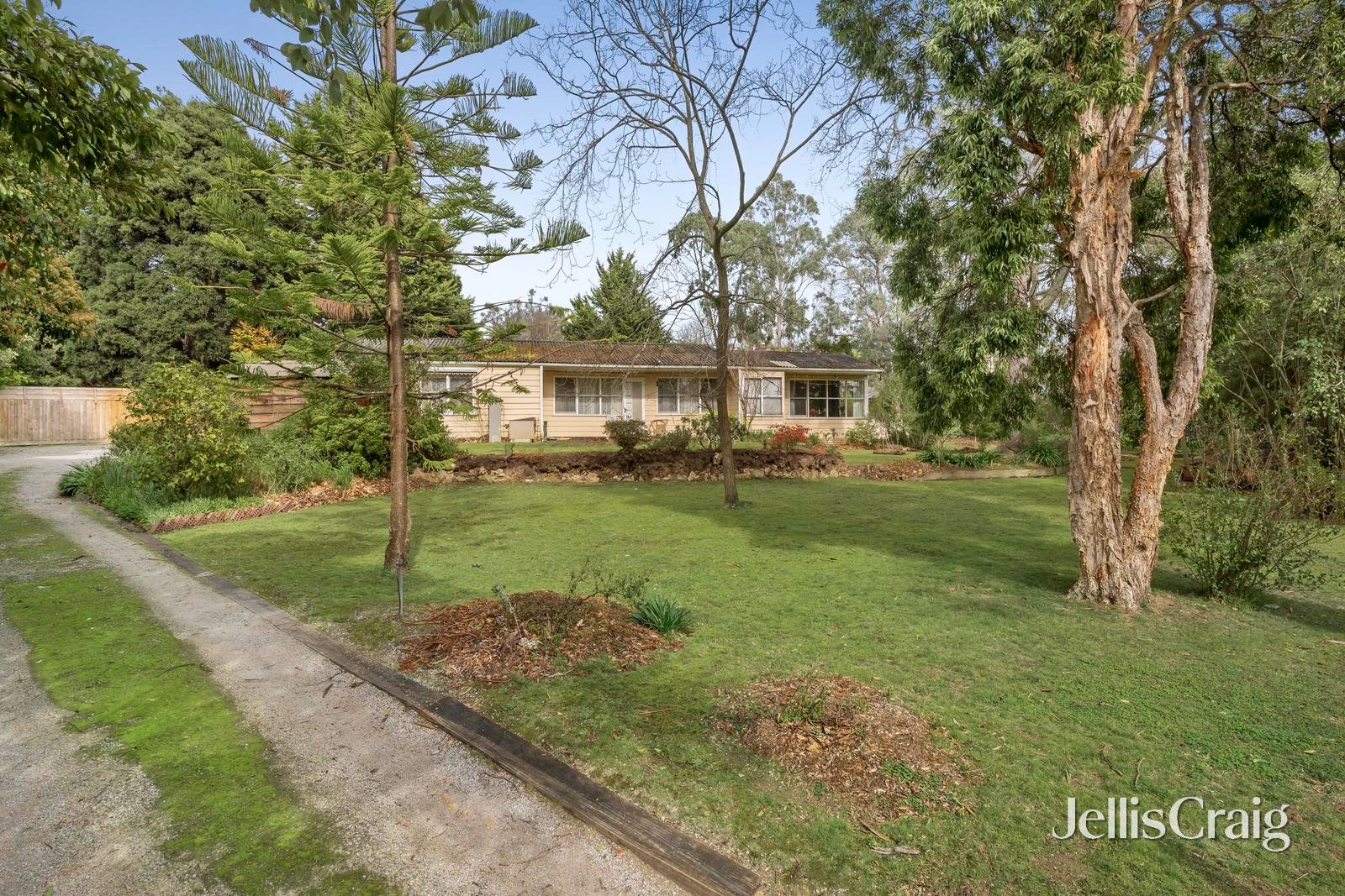6-8 Kurrajong Avenue, Croydon image 5