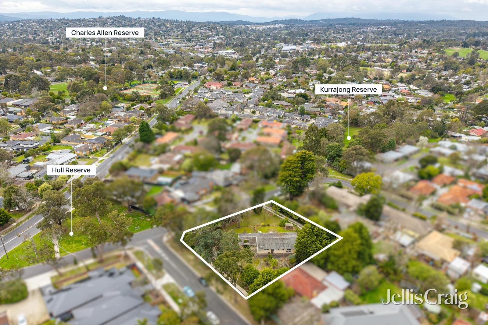 6-8 Kurrajong Avenue, Croydon image 8