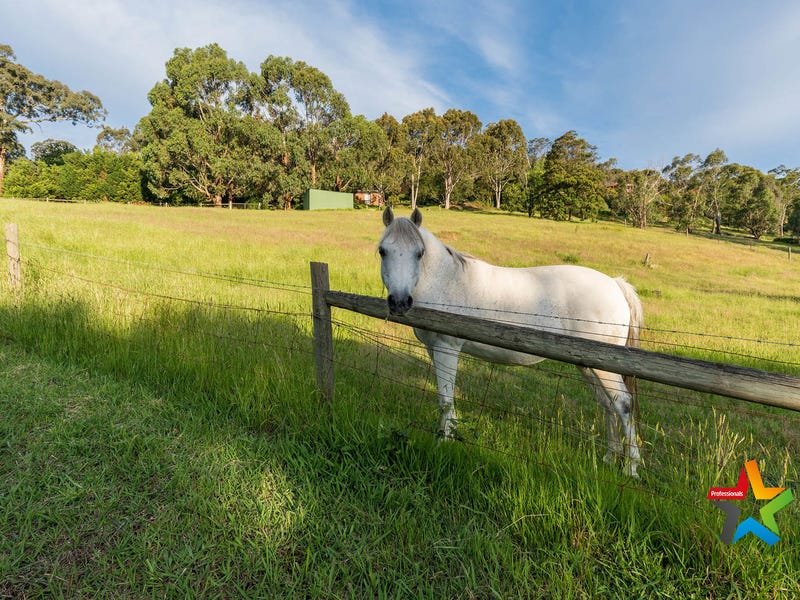 6 Ajax Court, Lilydale image 7