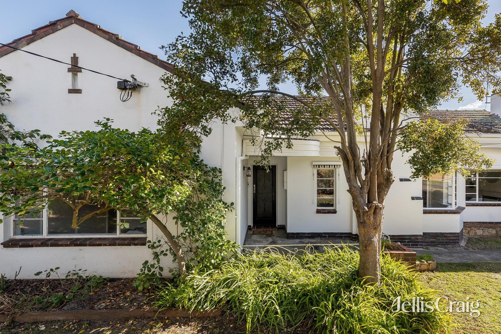 6 Albemarle Court, Glen&nbsp;Iris image 1