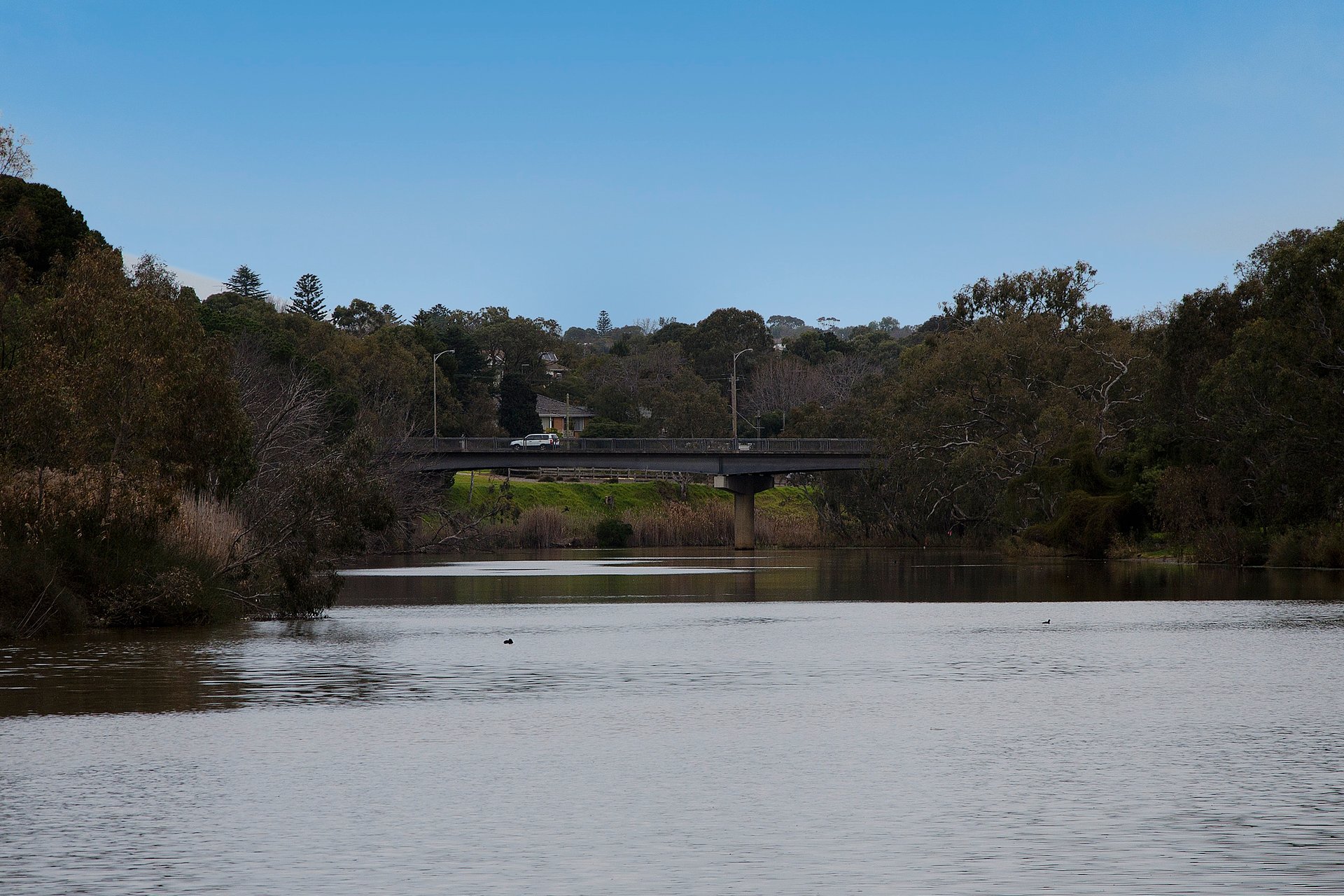 6 Arkana Avenue, Highton image 11