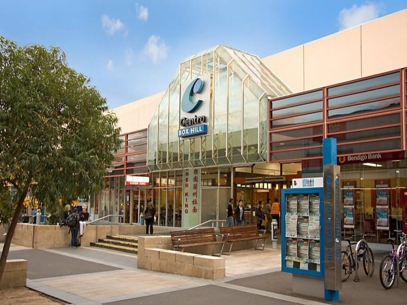 6 Arthur Street, Surrey Hills image 5