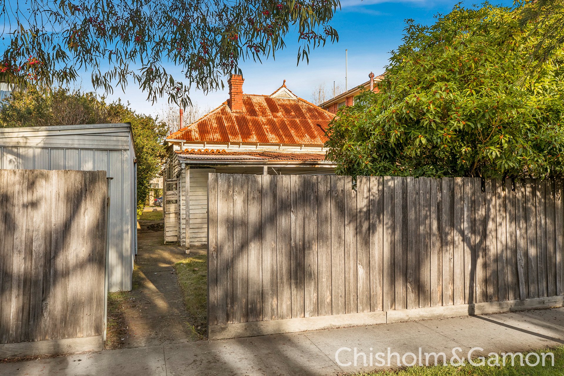 6 Austin Avenue, Elwood image 6