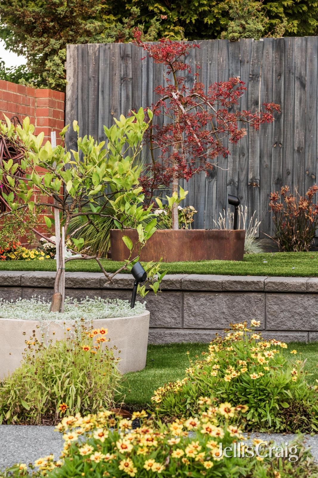 6 Austin Street, Bentleigh image 12