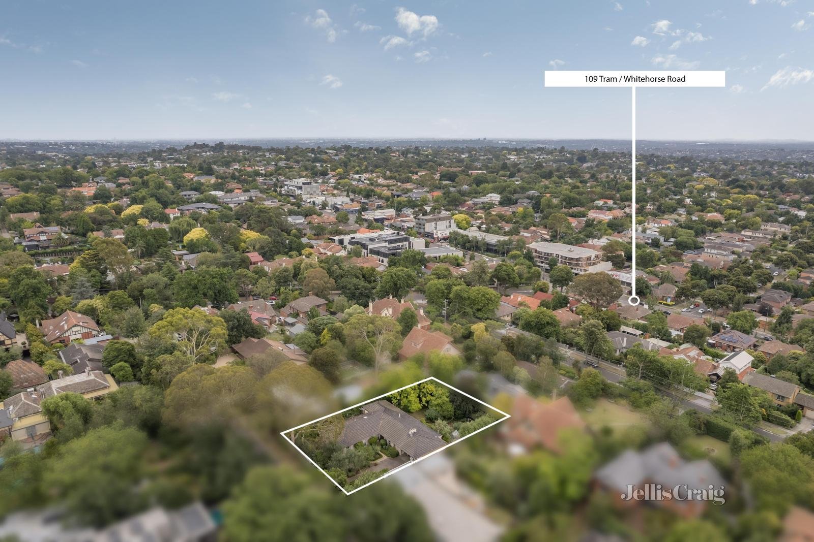 6 Beatty Street, Mont Albert image 9