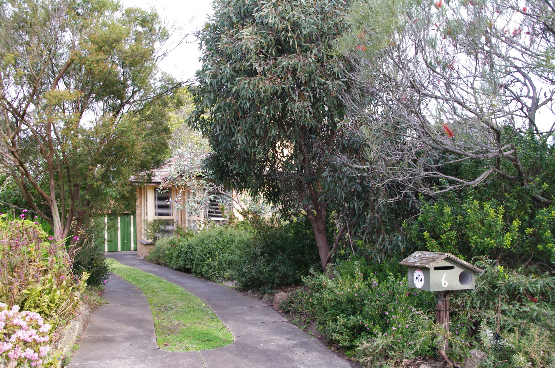 6 Billing Street, Mount Waverley image 1