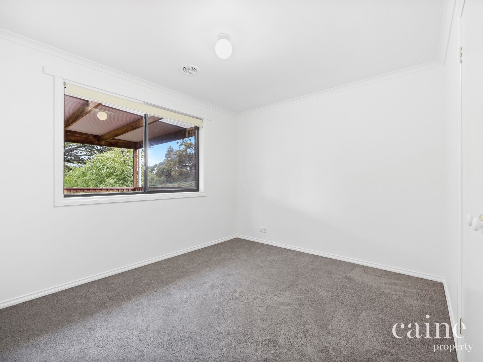 6 Boak Avenue, Mount Helen image 8