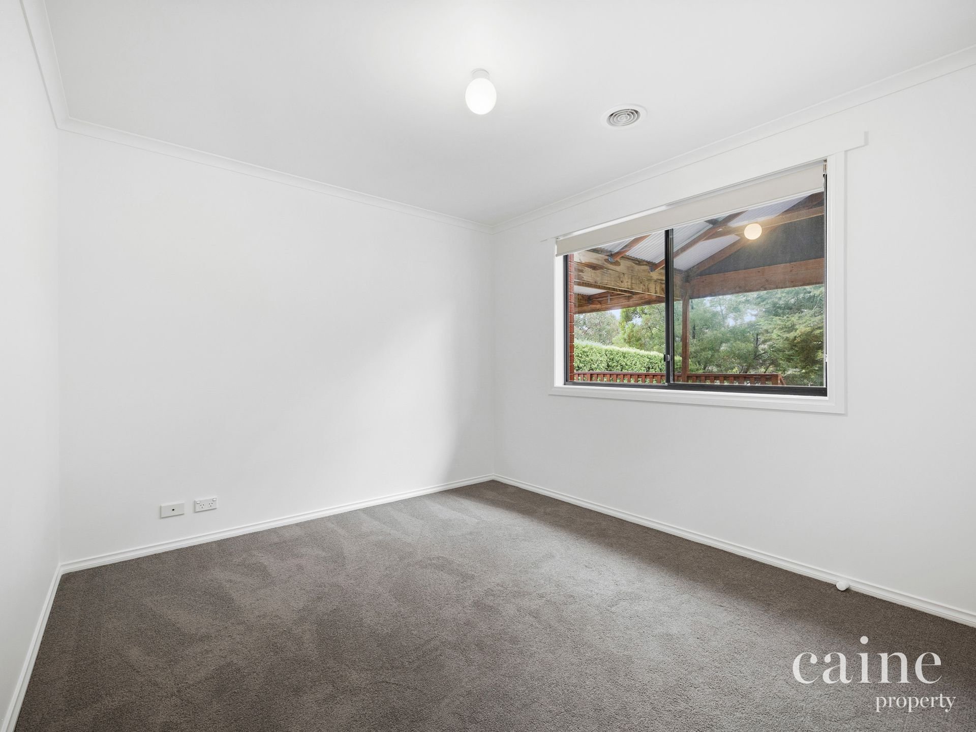 6 Boak Avenue, Mount Helen image 13