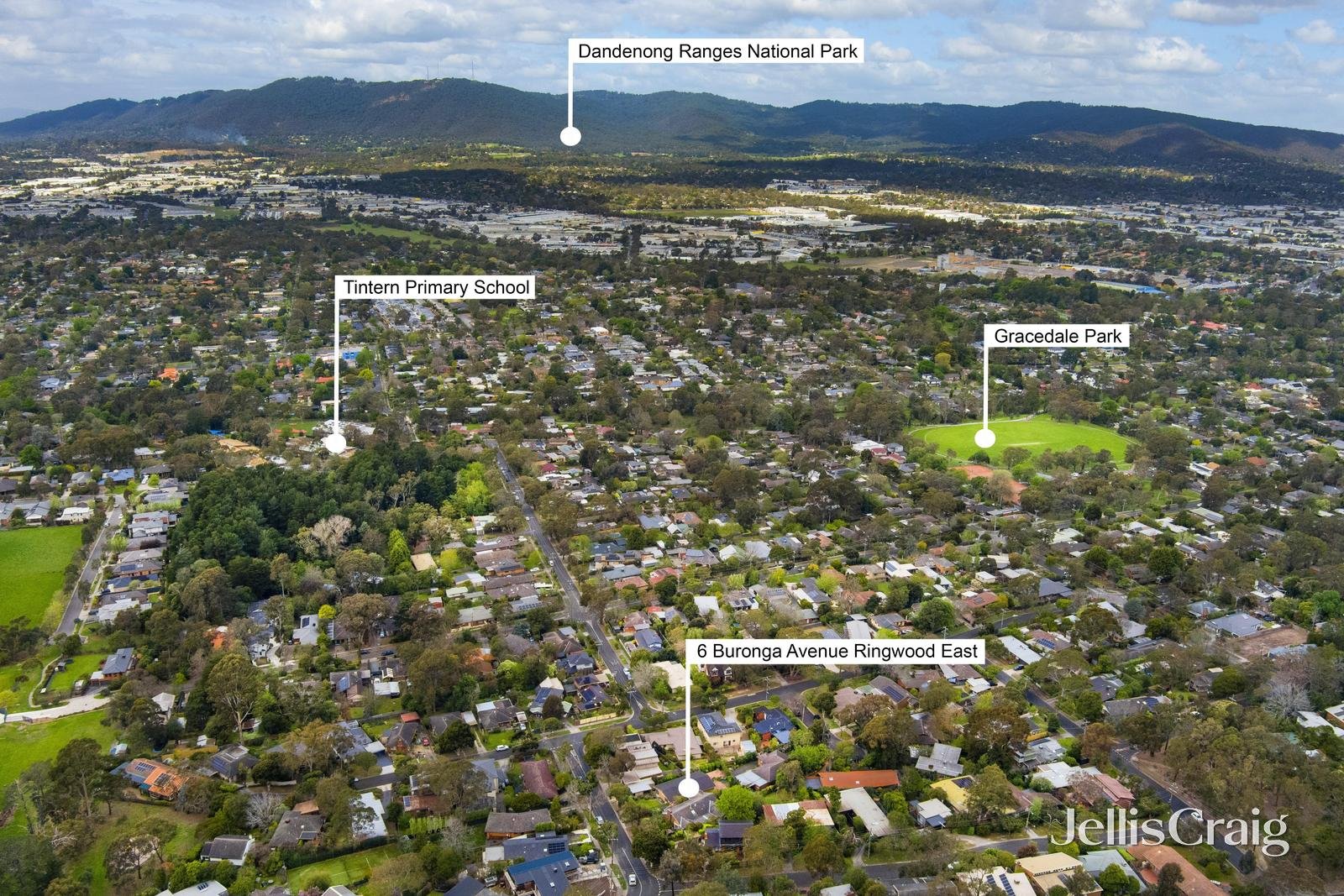 6 Buronga Avenue, Ringwood East image 12