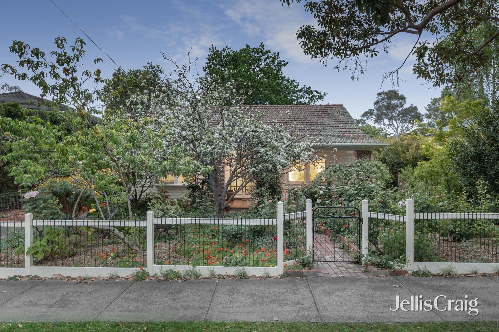 6 Carlyle Crescent, Mont Albert image 1