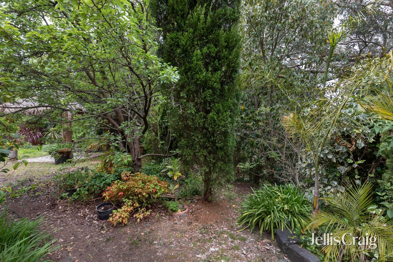 6 Carol Court, Warrandyte image 14