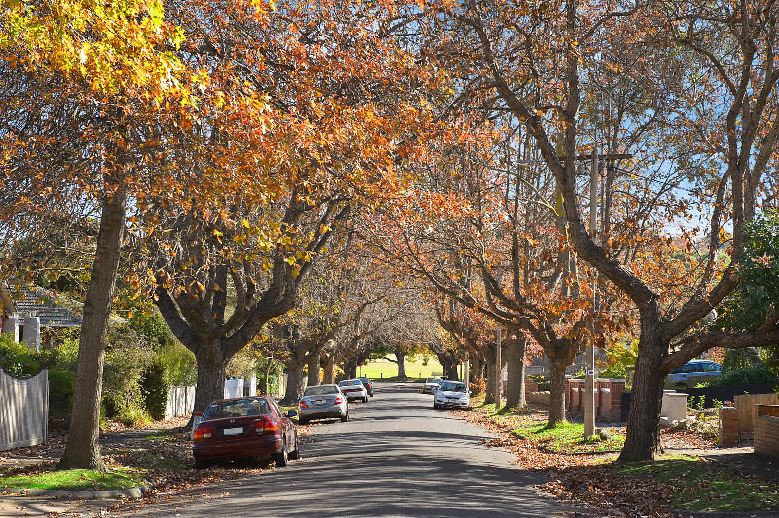 6 Carramar Avenue, Camberwell image 10