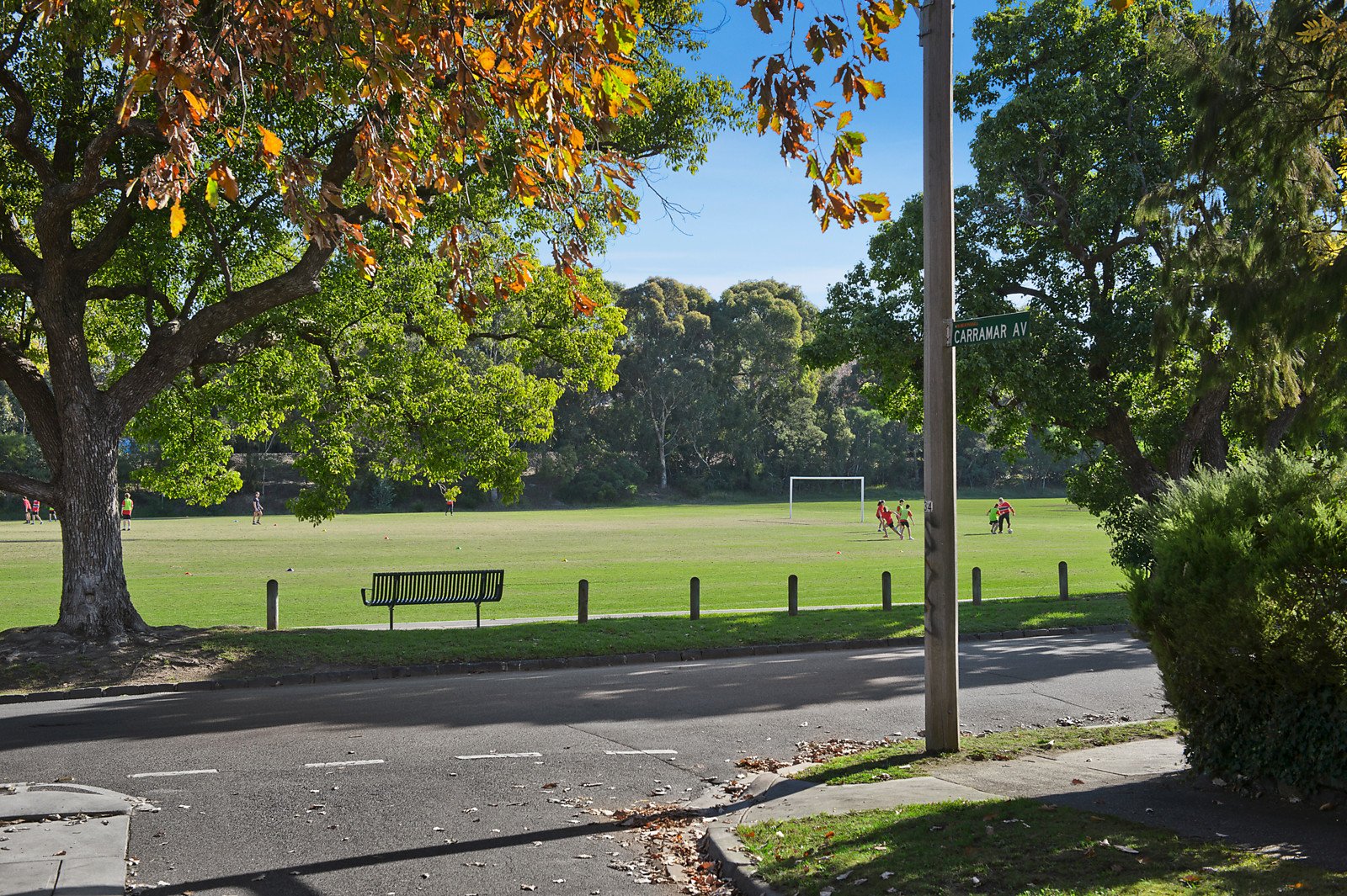 6 Carramar Avenue, Camberwell image 11