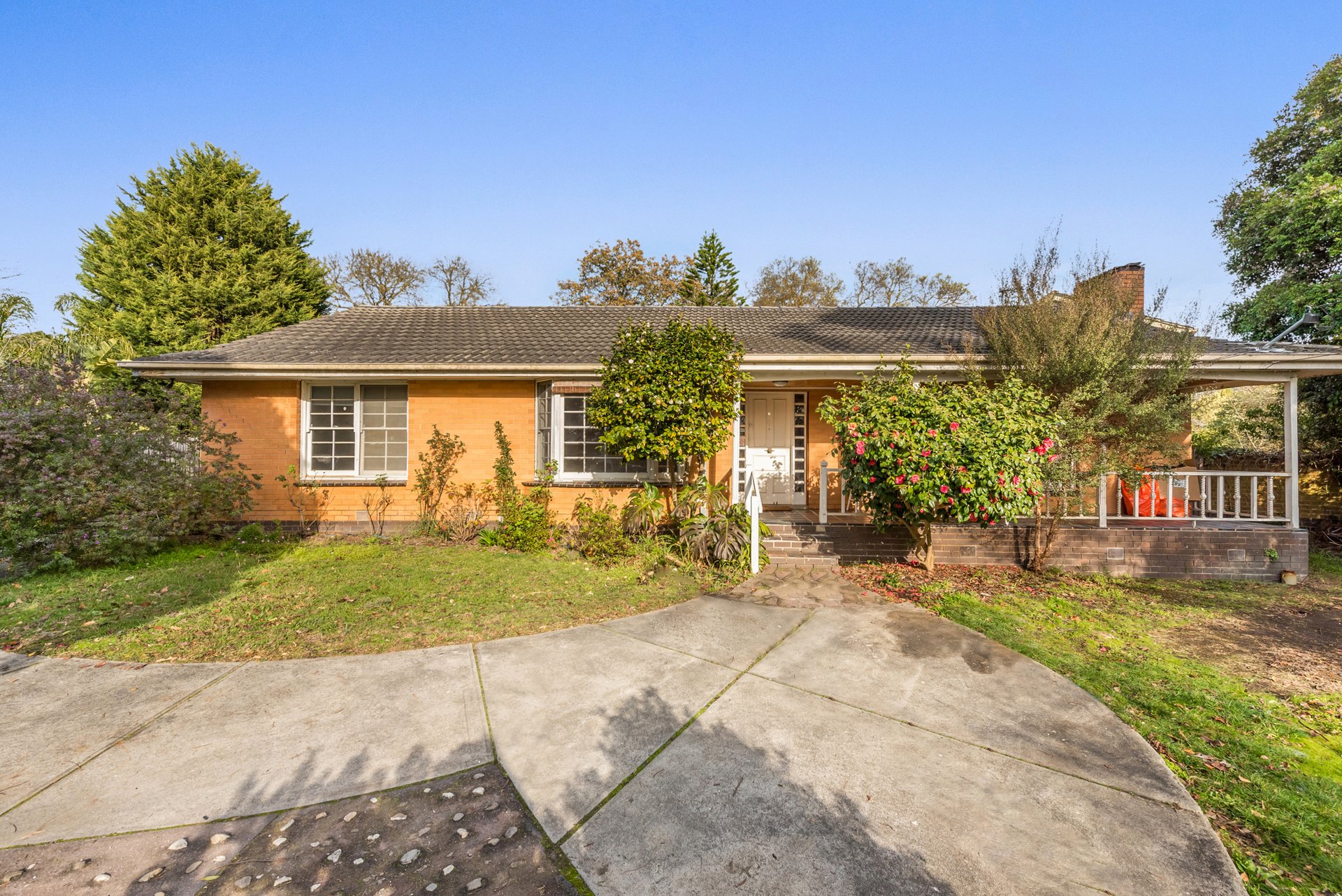 6 Cassia Court, Wantirna image 1