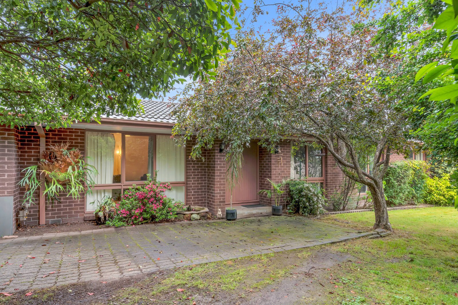 Property Gallery - Main Image