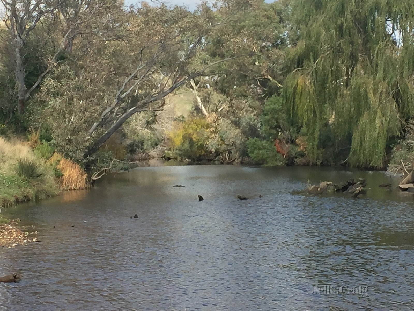 6 Coliban Park Road, Metcalfe image 16