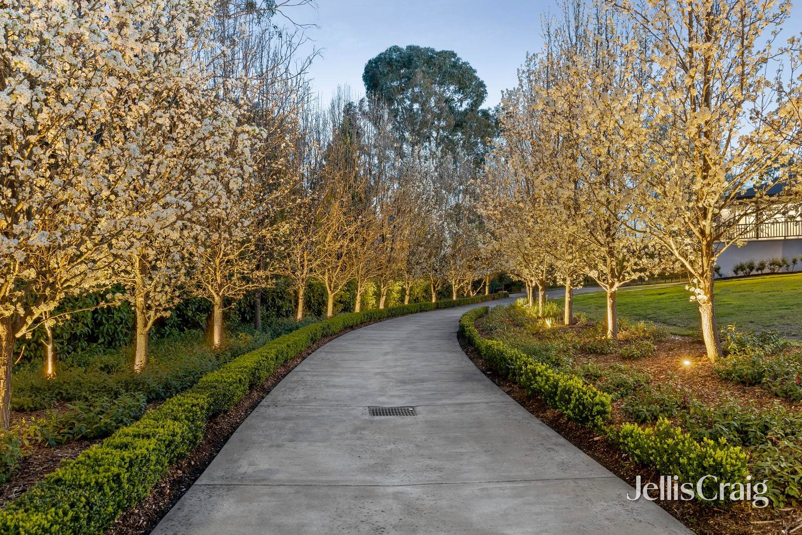 6 Eleanor Court, Donvale image 25