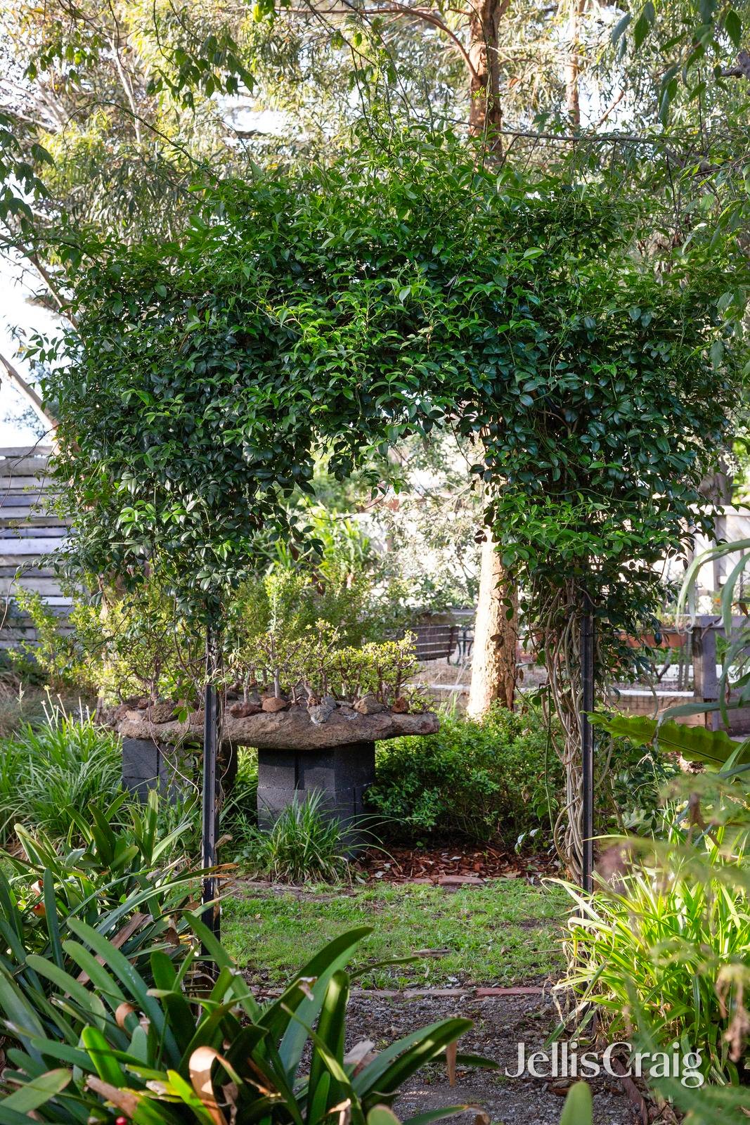 6 Hilda Place, Whittlesea image 24