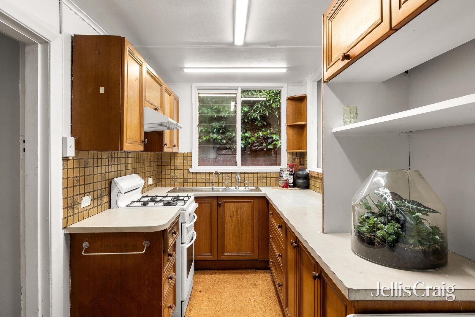 6 Isabella Grove, Hawthorn image 6
