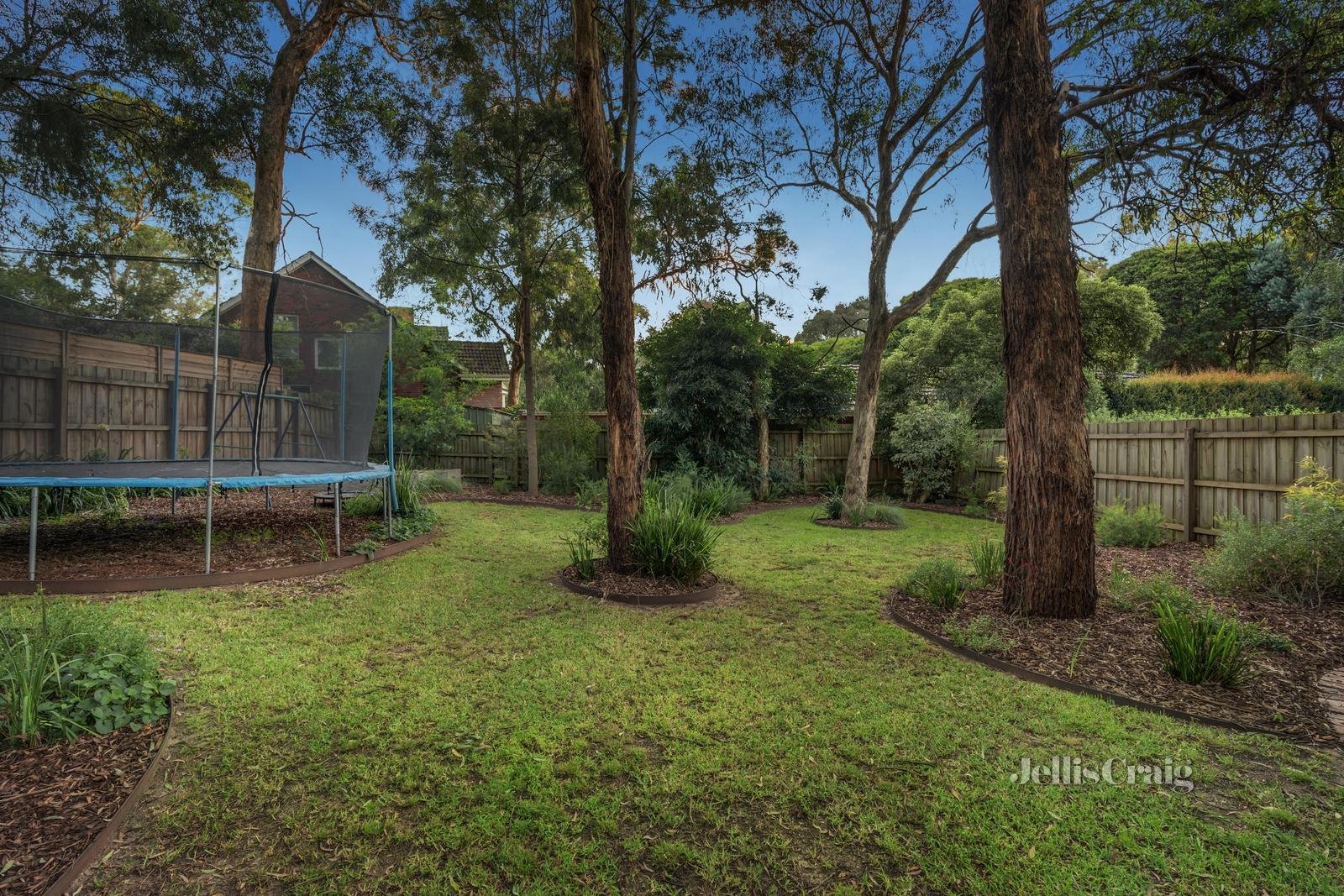 6 Jeffery Street, Blackburn image 13