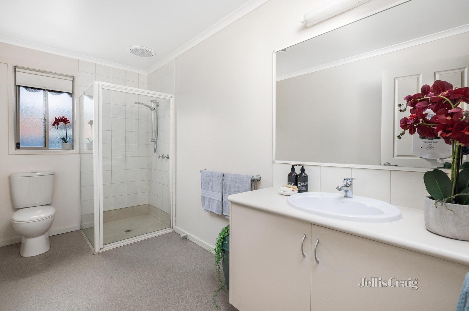 6 Jemacra Place, Mount Clear image 6